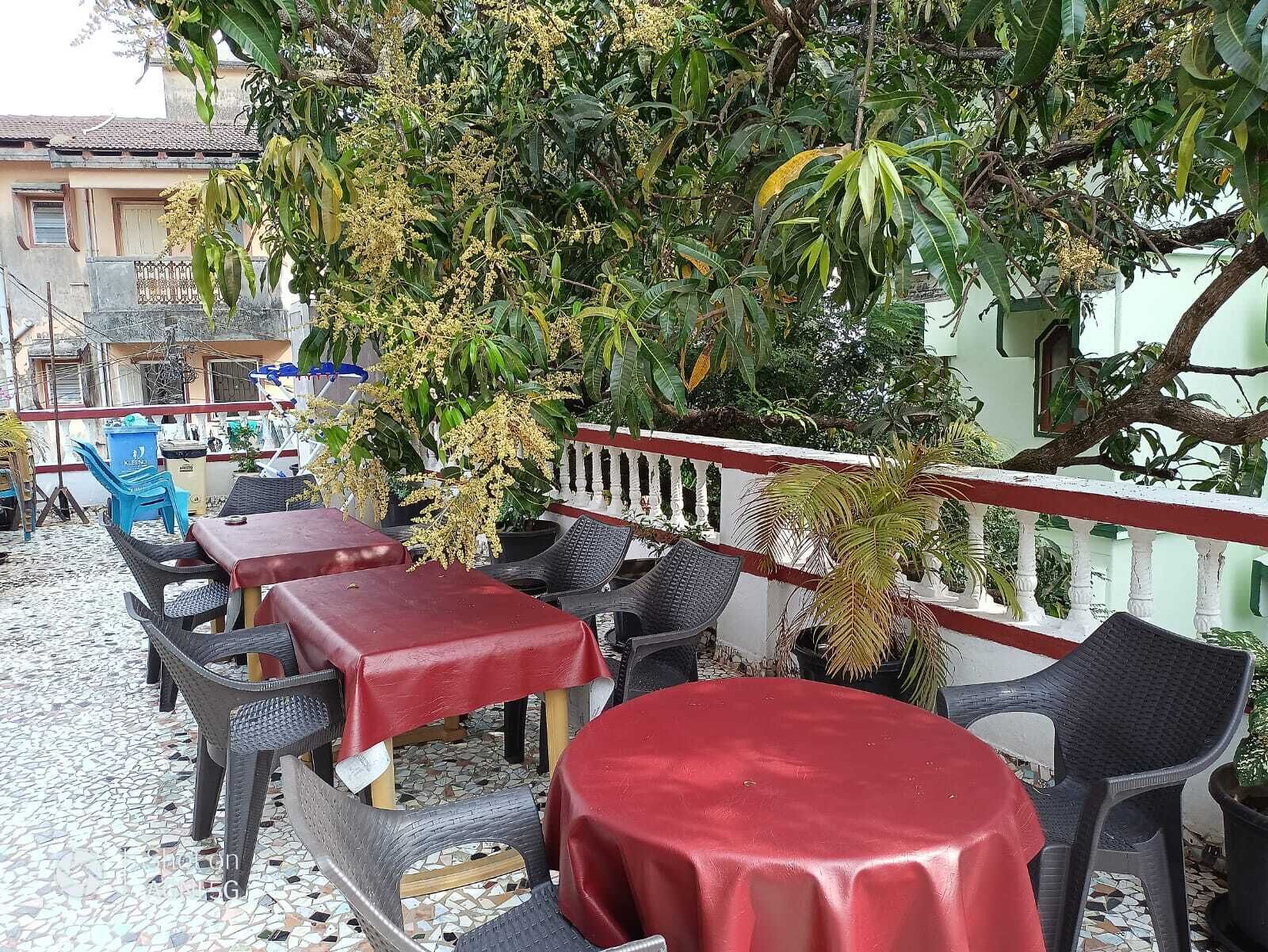 Un caffè all'aperto con tavoli e sedie, un pavimento piastrellato e un albero che offre ombra.