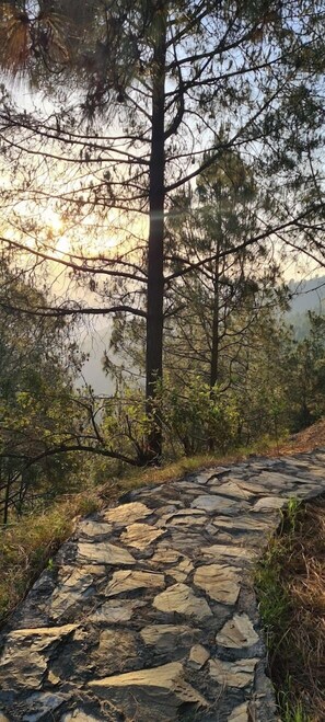 Exterior - Jaseelo Camps near Tehri Lake (Tehri)