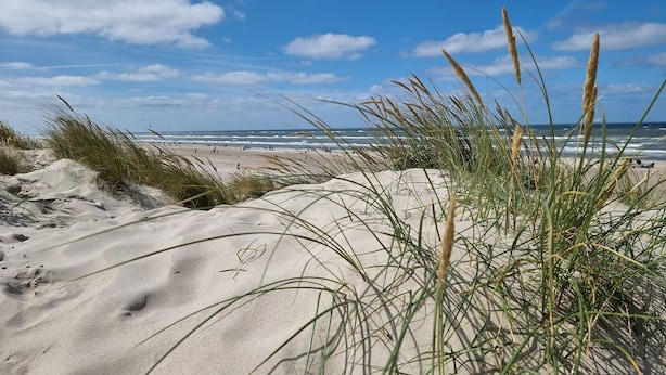 Een strand met duinen en gras op de voorgrond, dat uitloopt in de oceaan.