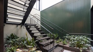 Un escalier avec des rampes en métal menant à un bâtiment dont la façade est recouverte d’un mur végétal.