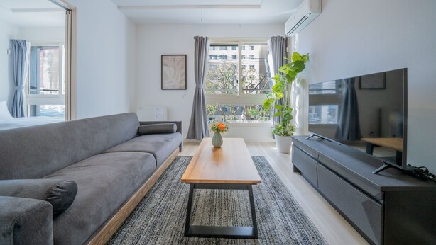 A modern living room with a grey sofa, a wooden coffee table, a TV, and a potted plant. - ALTIPLANO (Sapporo)