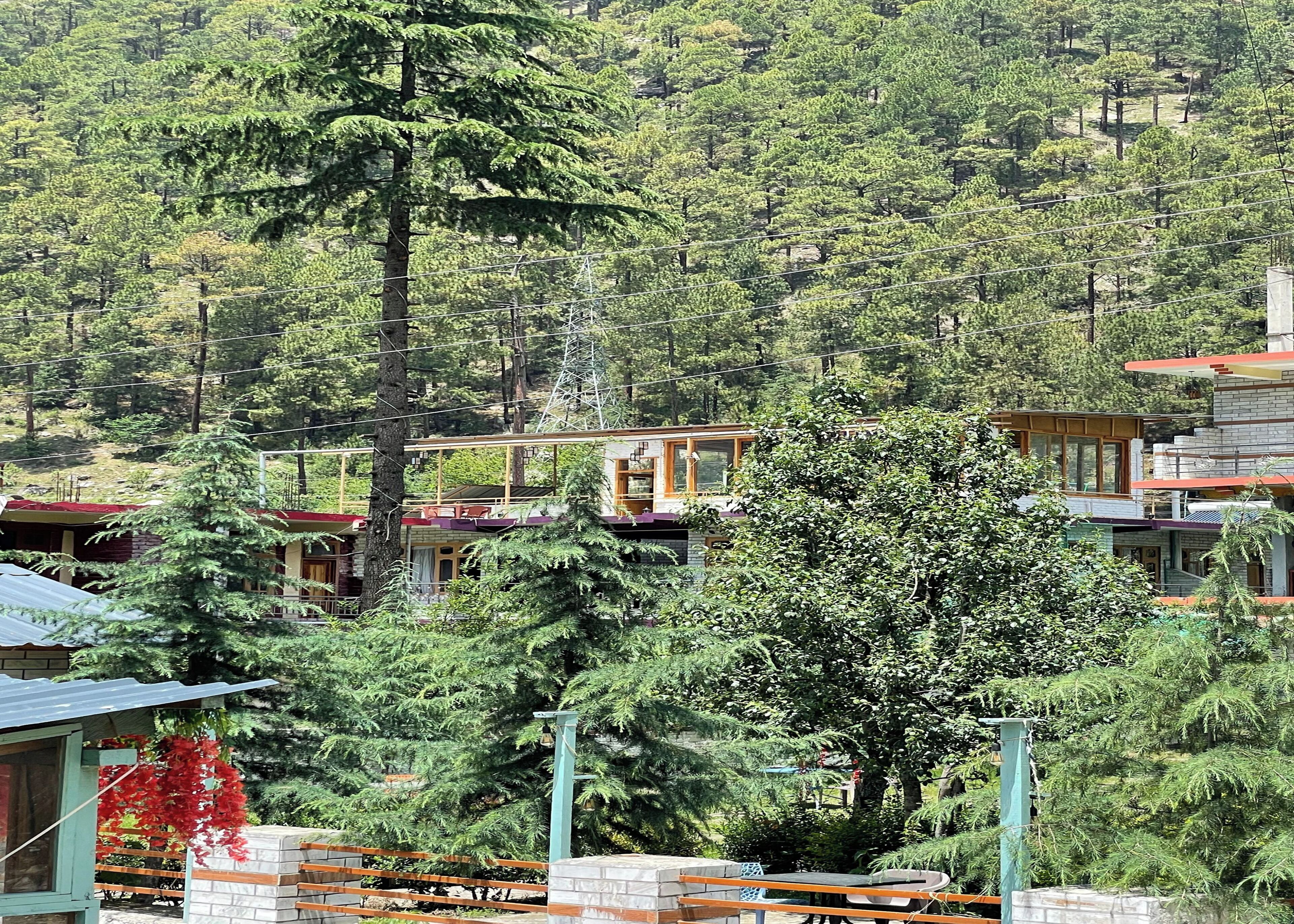 A residential area with multiple houses surrounded by dense forest.