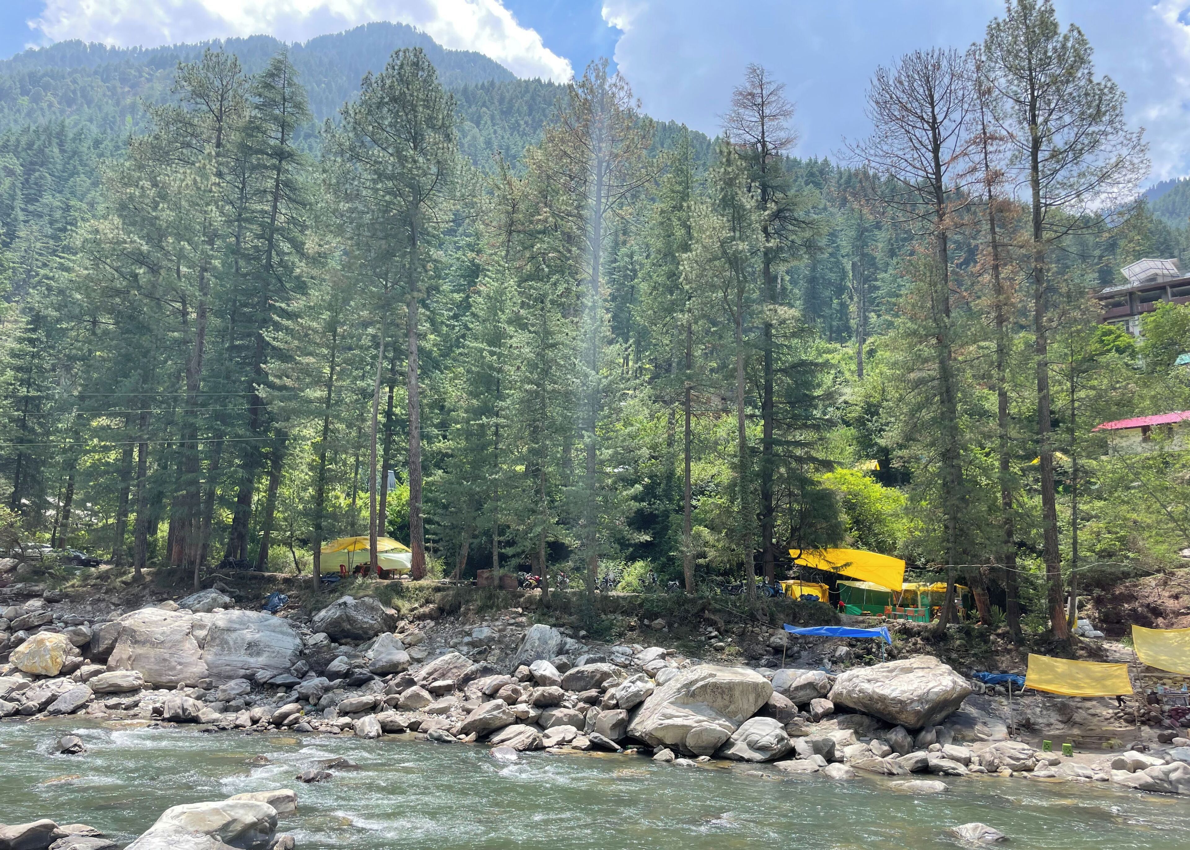 A river with rocks and a forested area with yellow canopies.