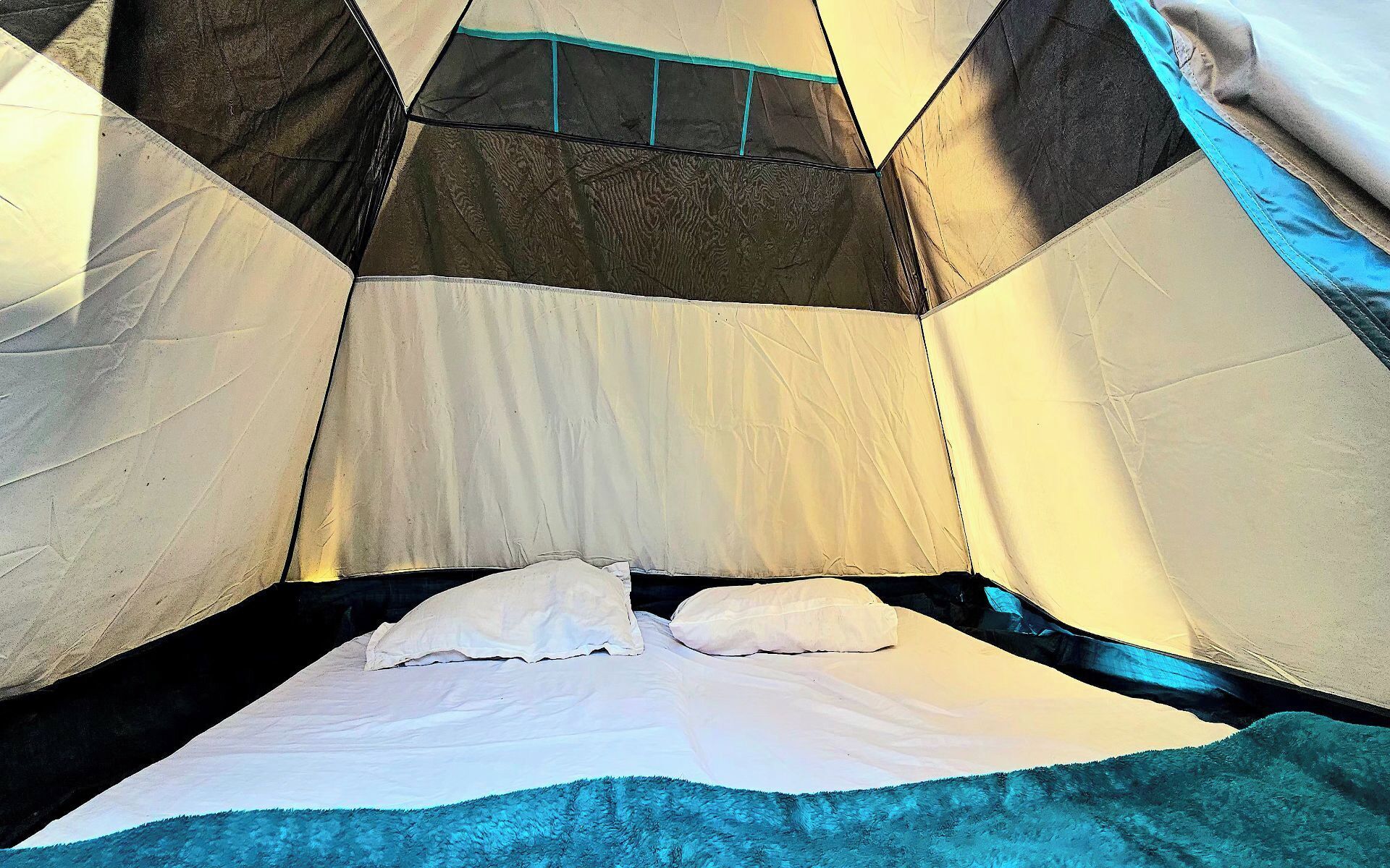 笔记本电脑工作区、免费 WiFi