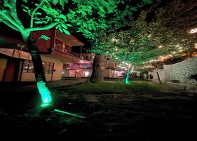 A building with a balcony and a tree illuminated with green lights.