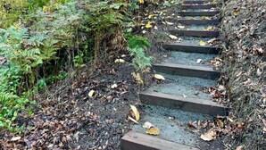 Una serie di gradini in pietra che conducono a una struttura in legno, circondata da alberi e felci.