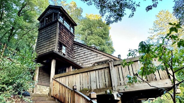 Un escalier en bois mène à une structure ressemblant à une tour, qui est elle-même entourée d’une végétation luxuriante.