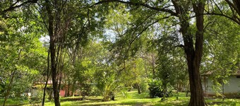 Calm Garden Cabanas