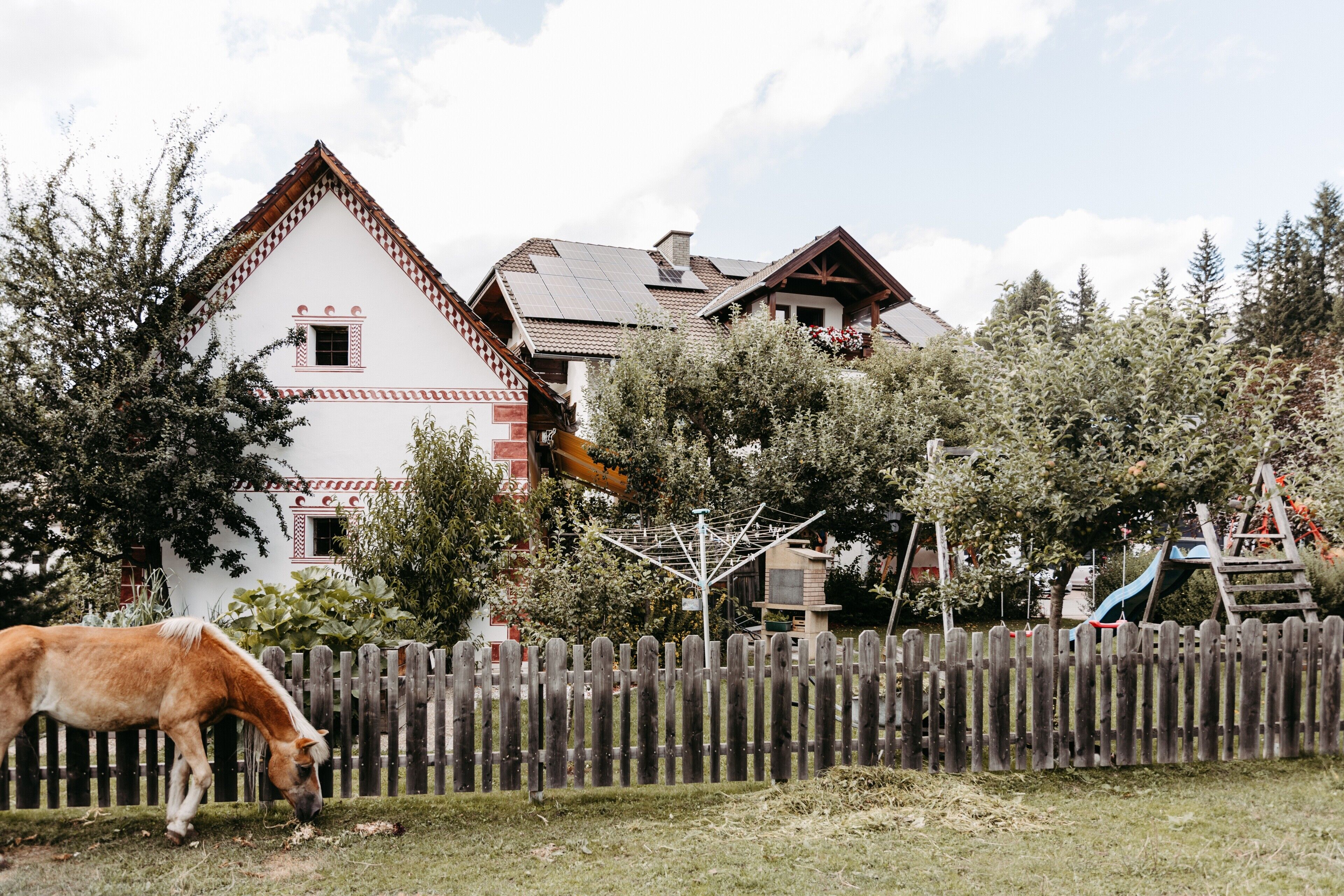 Terrein van de accommodatie