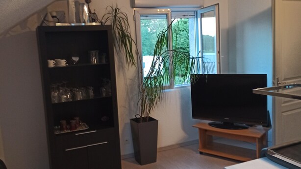 Een woonkamer met een televisie, een boekenkast, een kamerplant en een raam met uitzicht op bomen.