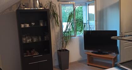 Marie's house