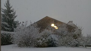Een besneeerd landschap met een gebouw, besneeuwde struiken en een lantaarnpaal.