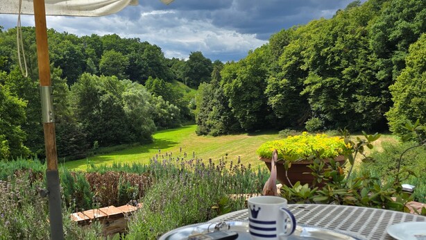 A table with a white umbrella, a remote control, a mug, and a plate. - Apartment 'Osterwiese' with Private Terrace, Private Garden and Wi-Fi (Weilburg)