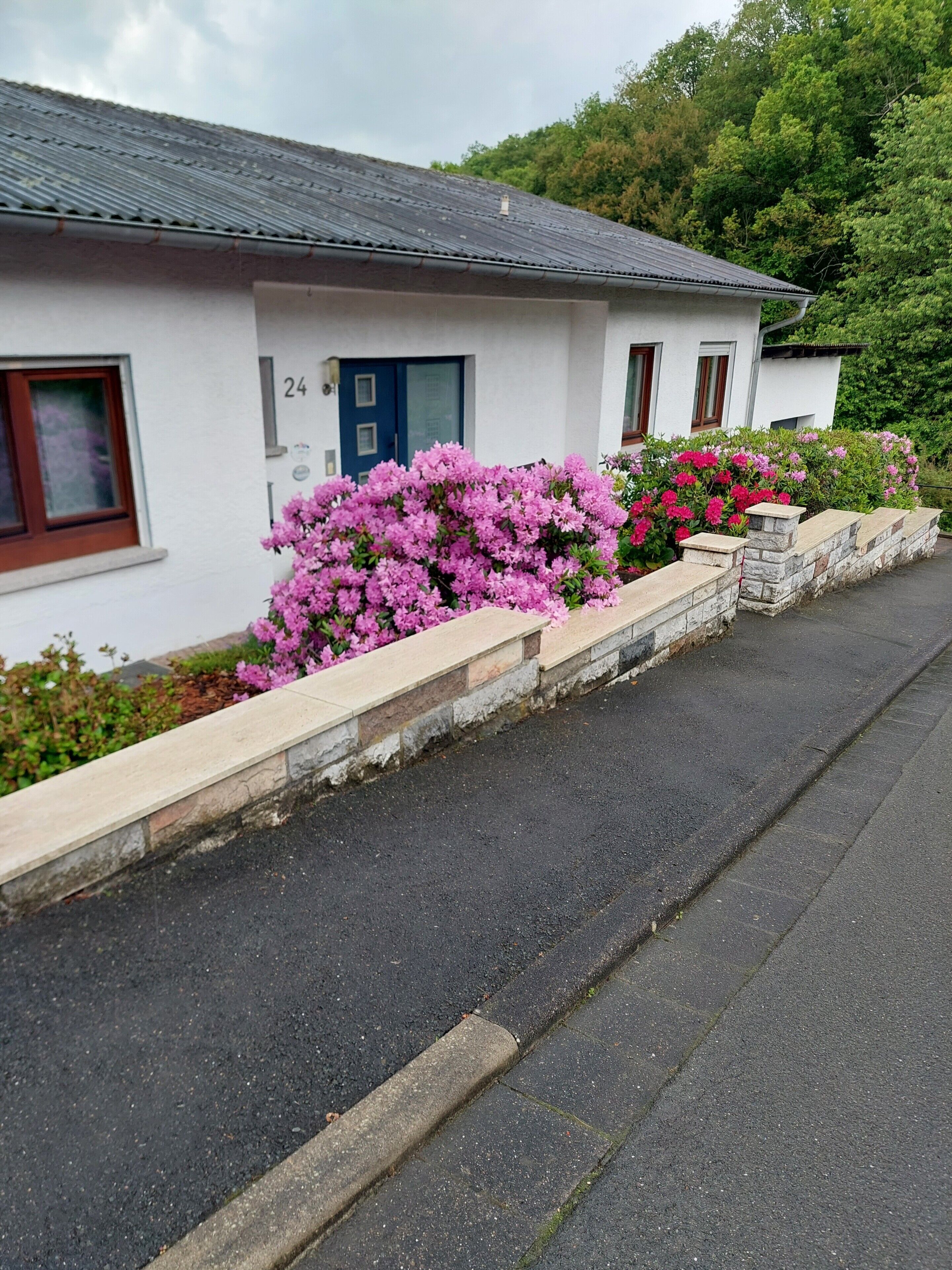 Ein weißes Gebäude mit einer blauen Tür, Hausnummer 24, und eine Steinmauer mit rosa Blüten.