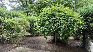 Un jardin agrémenté d’une variété de plantes et d’arbres verts, d’un chemin en béton et d’un mur en pierre.