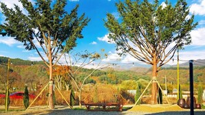 A rustic outdoor seating area with a wrought iron bench, surrounded by trees and a scenic view of hills. - jayeonsog gong gan (Gapyeong)