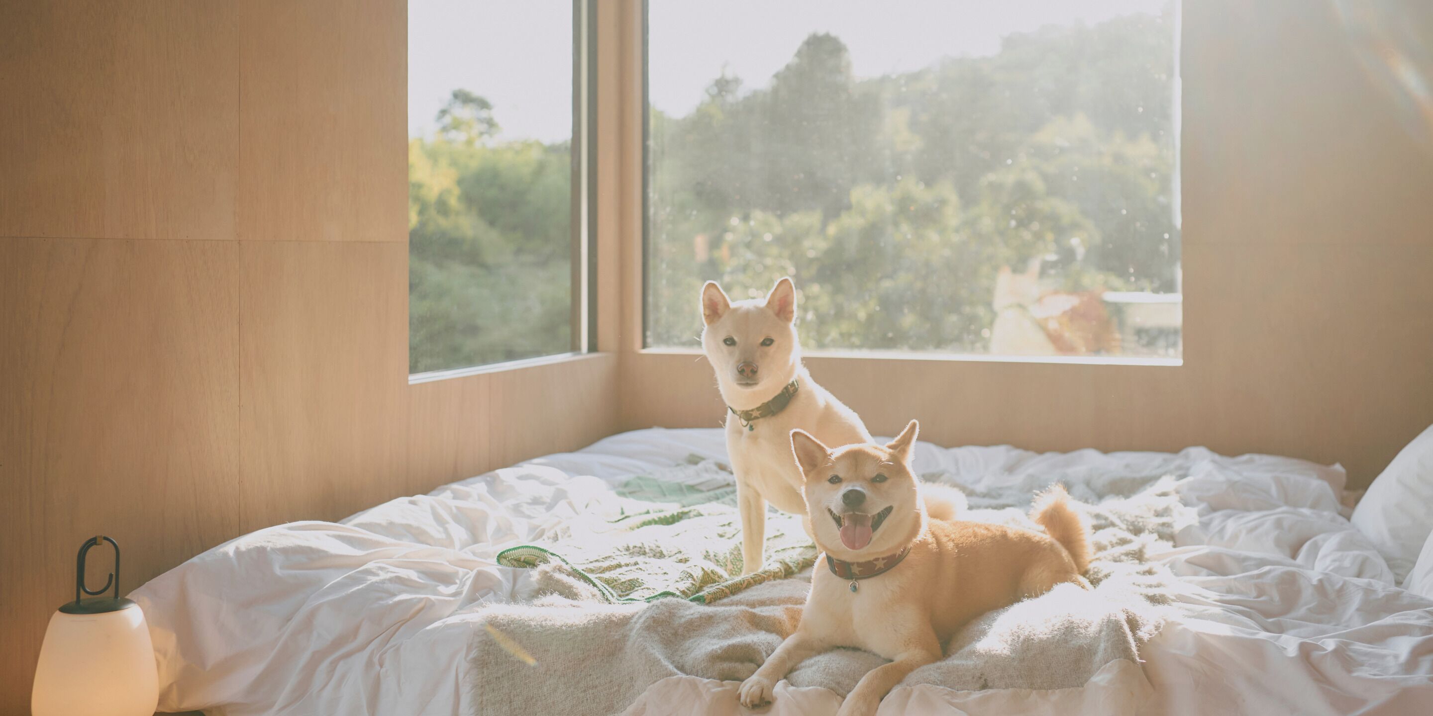 Un dormitorio con cama, ventana y lámpara.