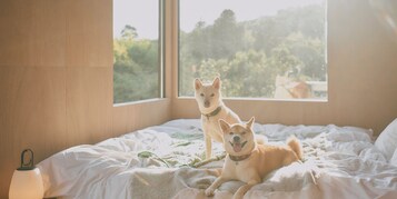 Un dormitorio con cama, ventana y lámpara.