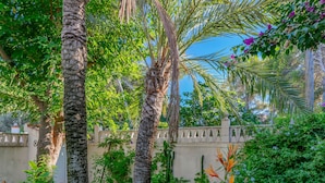 A garden with palm trees, a white wall, and various plants. - Vacation home Verena by Interhome (Dénia)