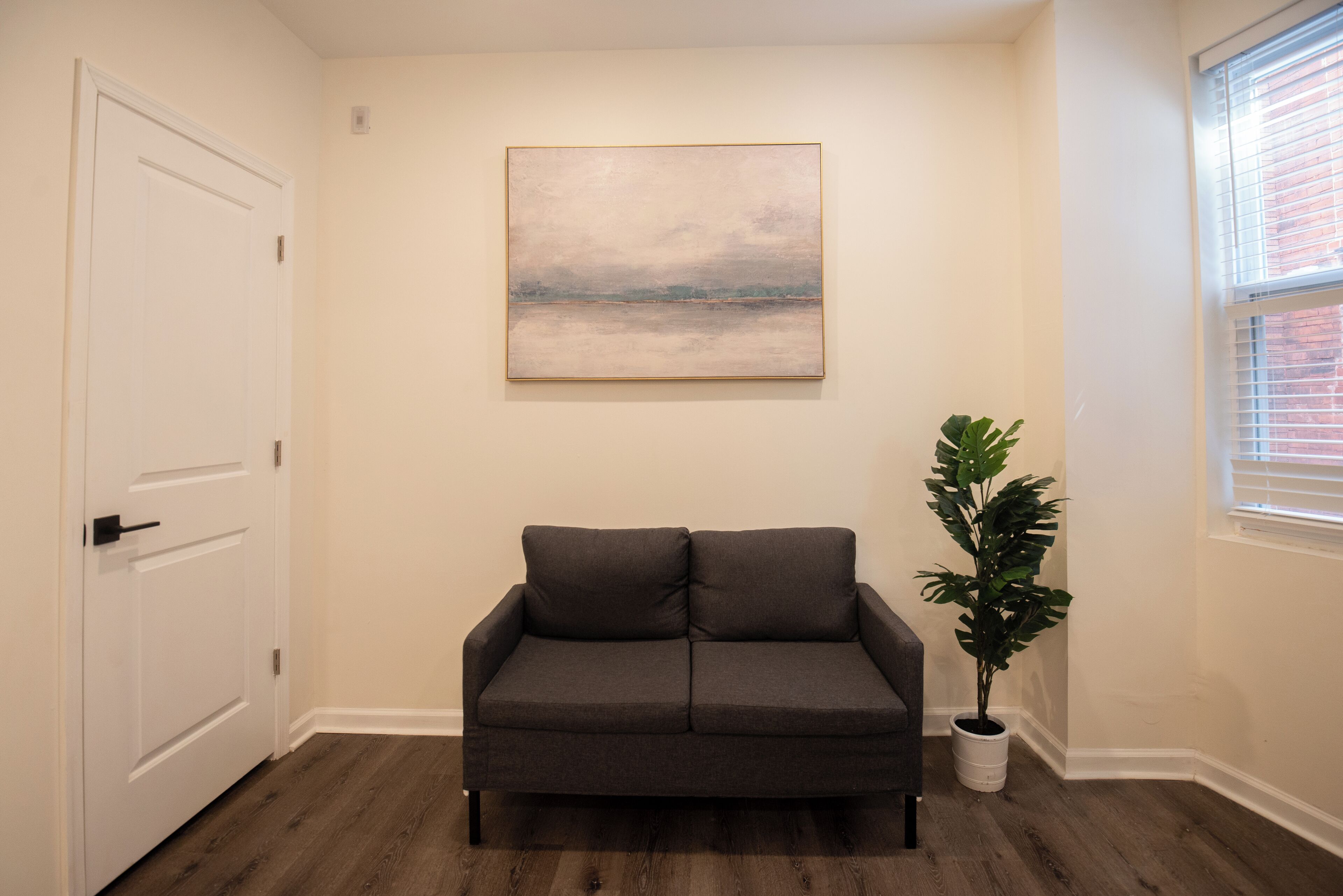 Una habitación con un sofá de color gris oscuro, un cuadro en la pared, una planta en maceta y una puerta blanca.