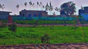 A rural landscape with a field, a building with a blue facade, and a large tree. - oshiana farm (Pehowa)