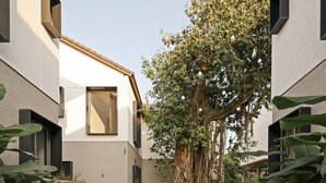 Un patio con un diseño circular de ladrillos, edificios modernos y un árbol grande de raíces extensas.