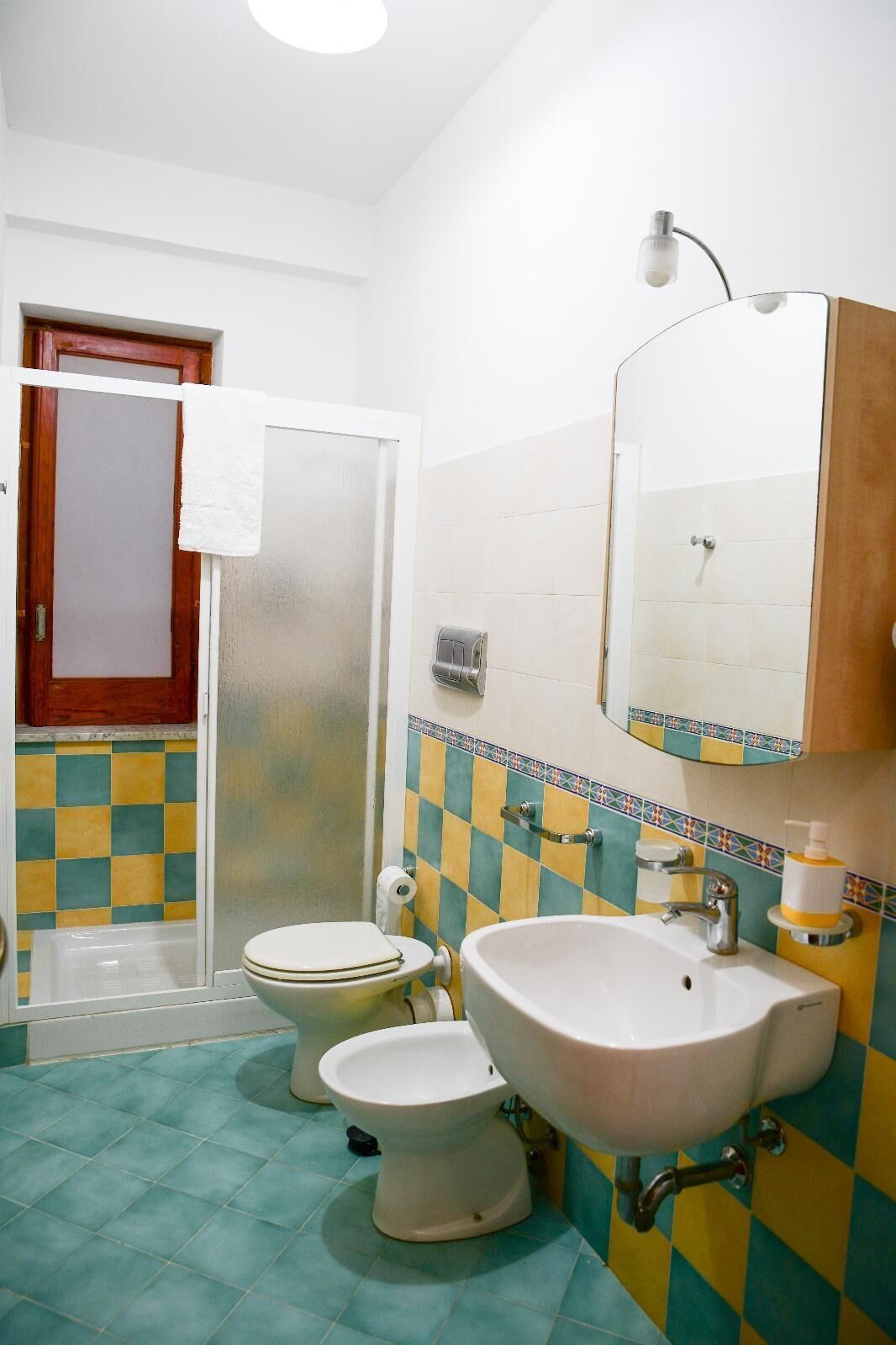 Asciugacapelli, asciugamani, sapone, shampoo