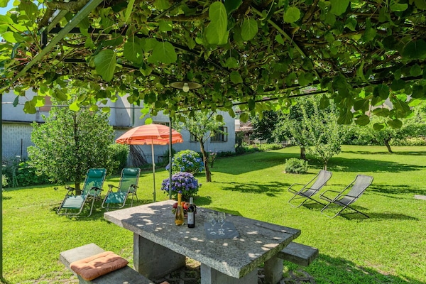 Garten, Schatten, Tisch Im Freien, Gartenmöbel, Frühling, Rasen, Garten, Hinterhof, Stuhl, Landscaping