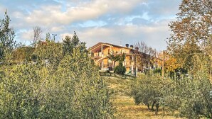 A multi-story house with a balcony, surrounded by olive trees and a grassy area.