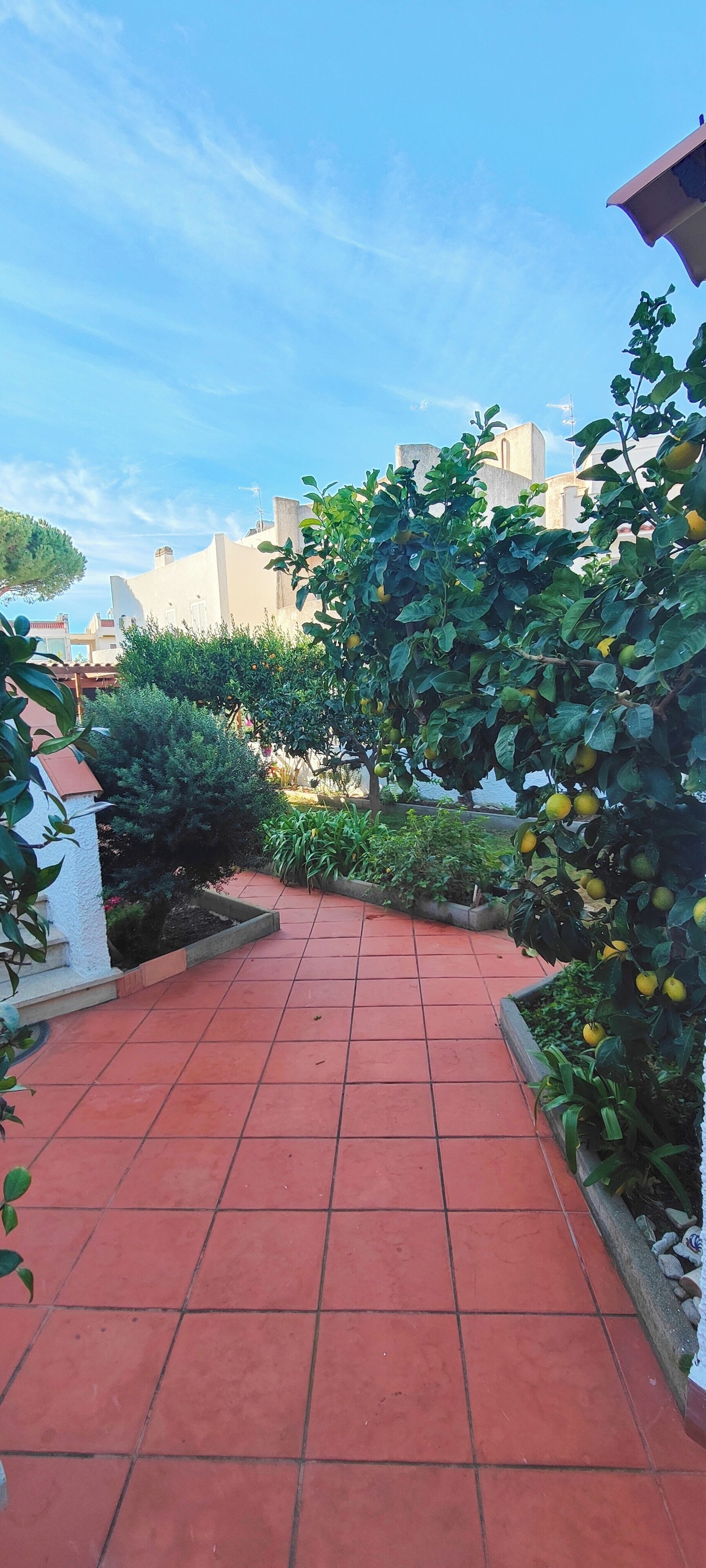 Parco della struttura