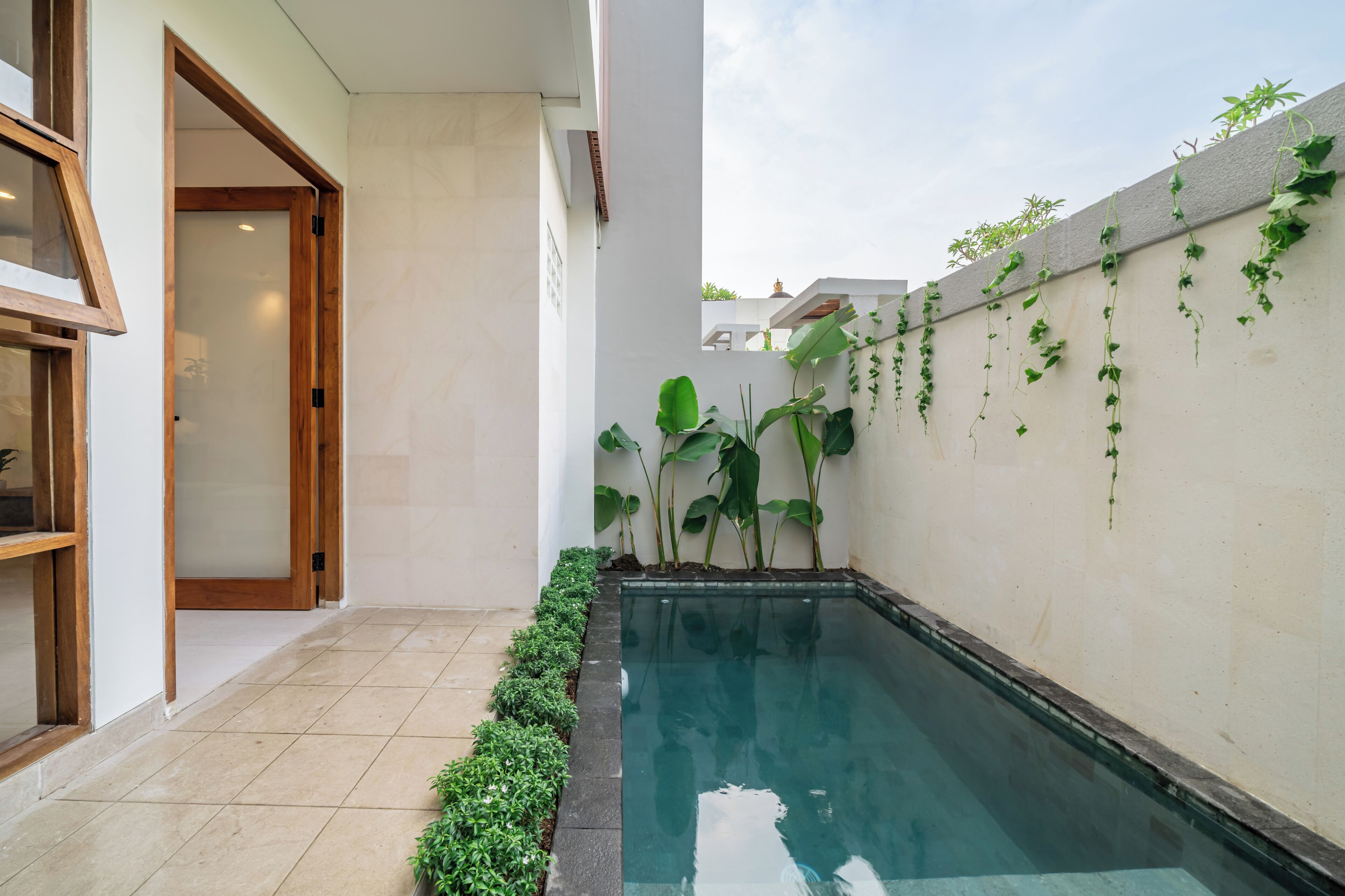 A swimming pool with a tiled deck, a wooden door, and large green plants along the wall.
