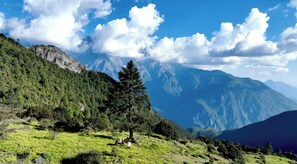 Un paysage montagneux avec un arbre imposant et des randonneurs au premier plan.