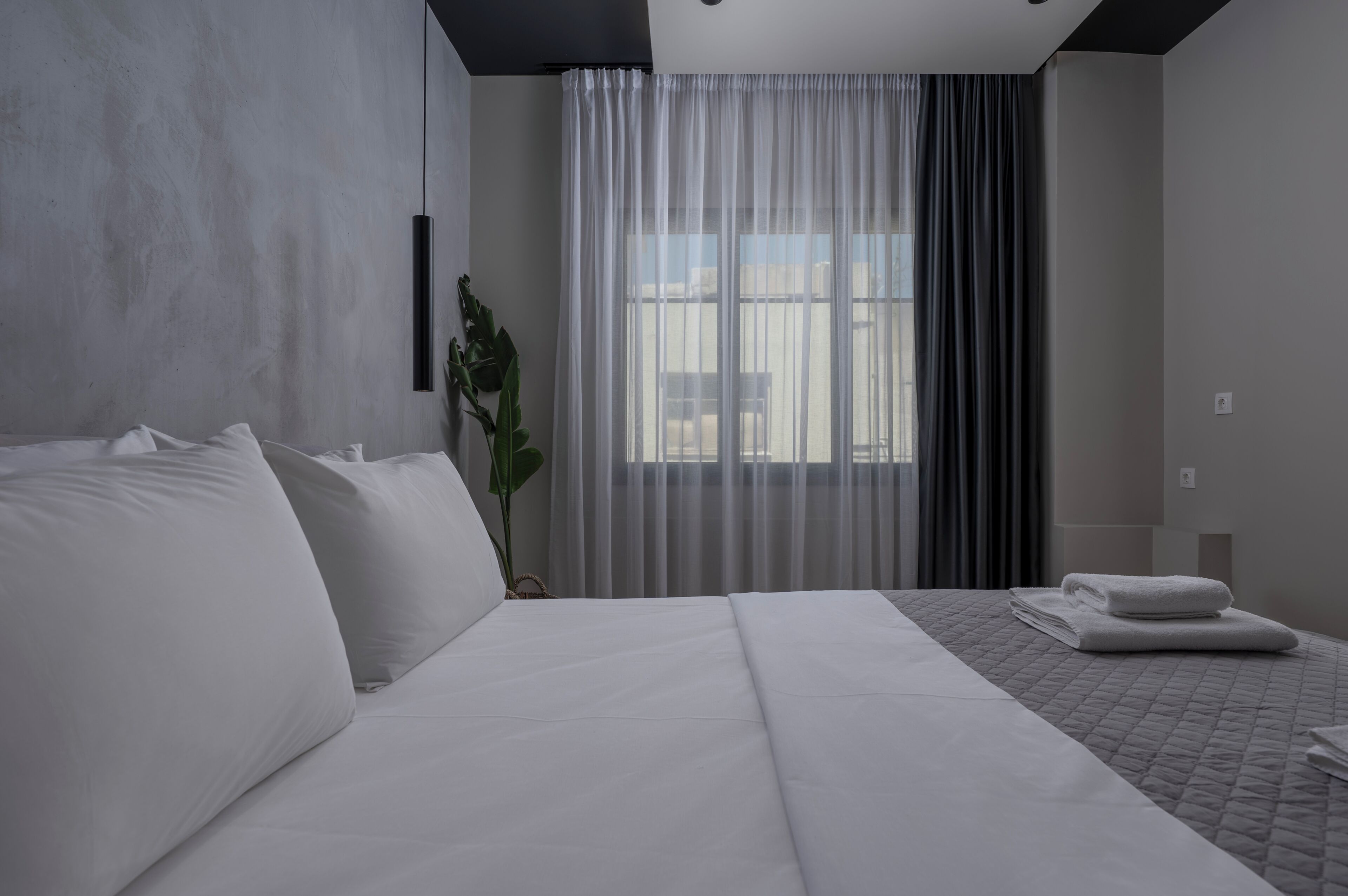 Habitación de hotel moderna con una cama grande, una mesita de noche, una planta y vistas a través de cortinas translúcidas.