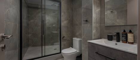 A modern bathroom with a glass-enclosed shower, a toilet, and a vanity with a mirror and toiletries.
