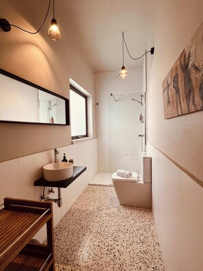 Shower, hair dryer, towels, shampoo