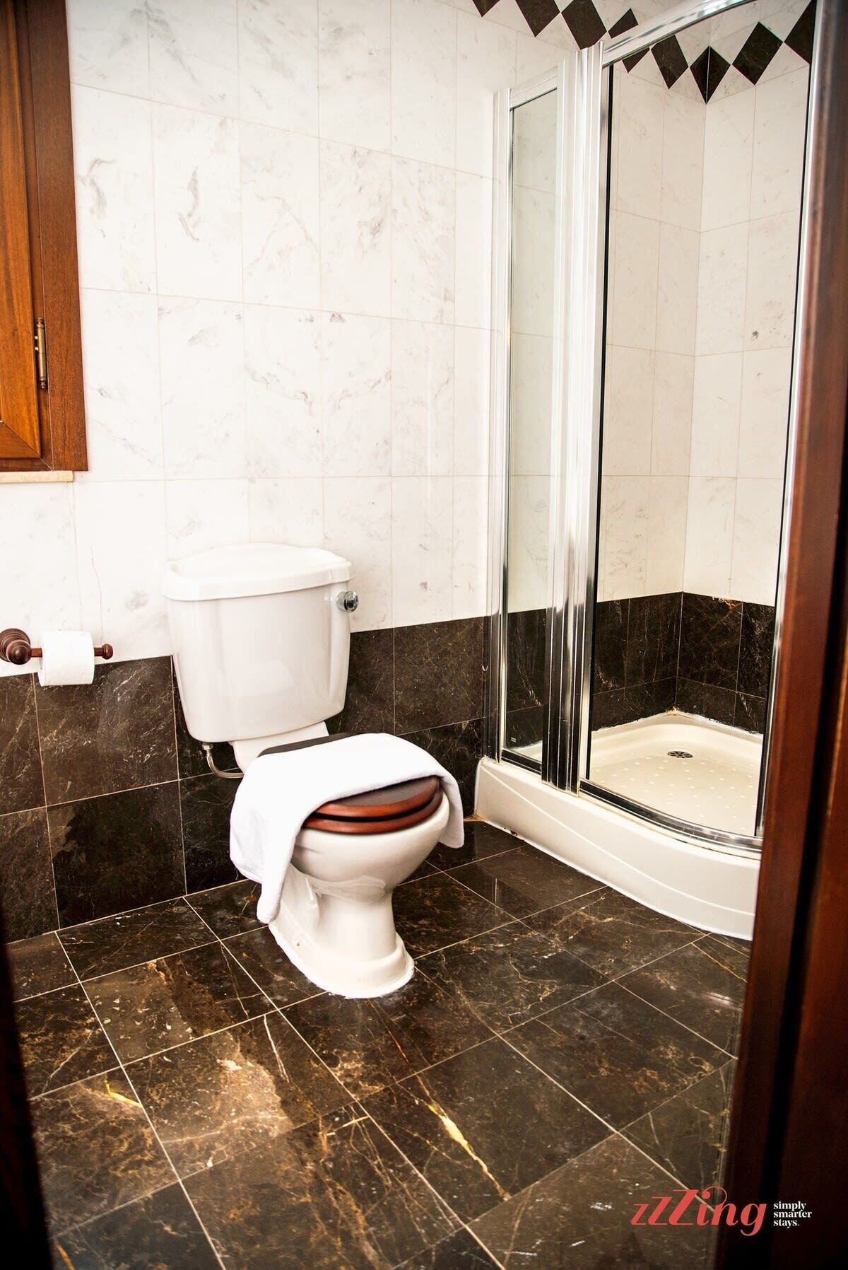 Shower, hair dryer, towels