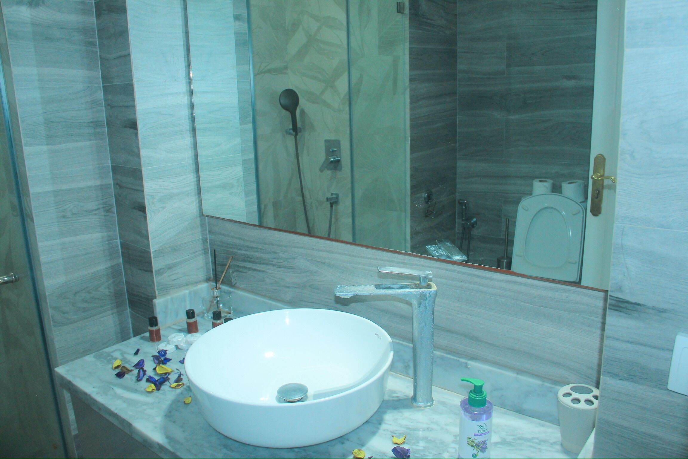 Une salle de bain avec un lavabo en marbre, une douchette à main et un miroir qui reflète les toilettes et la zone de douche.