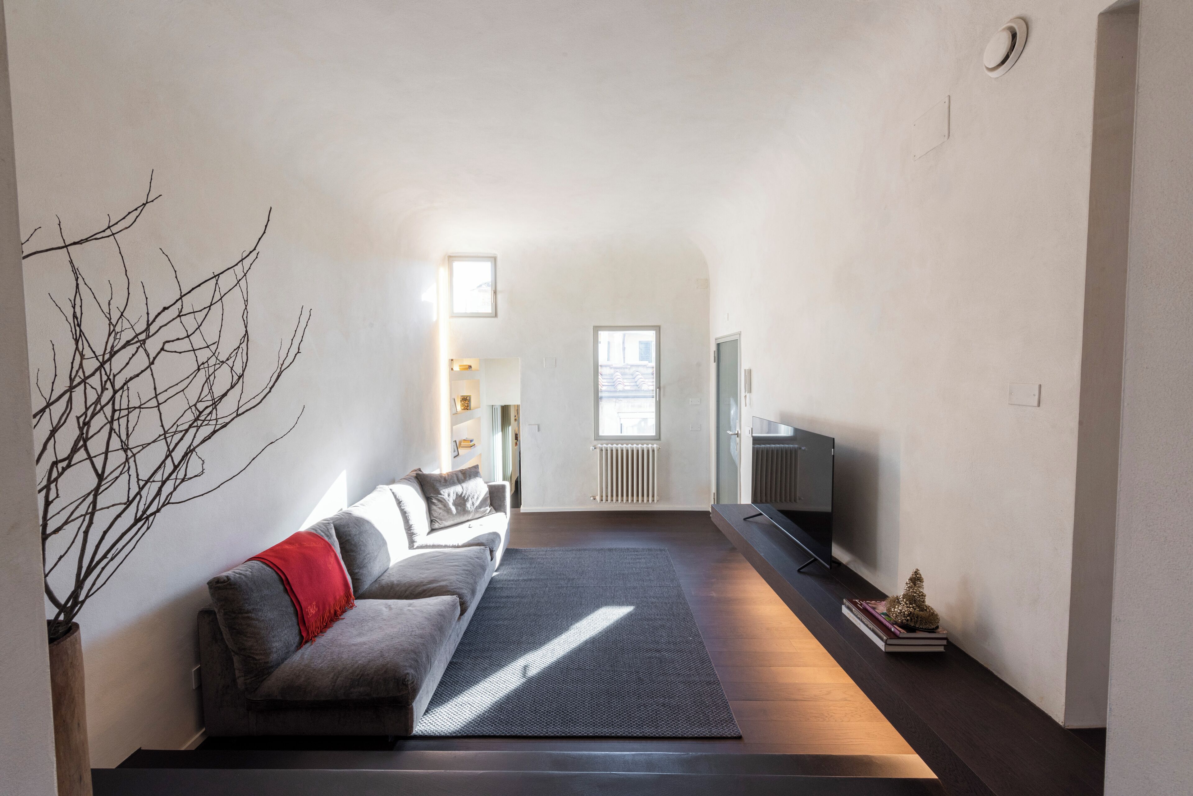 A modern living room with a sofa, a coffee table, a TV, and a small decorative tree.