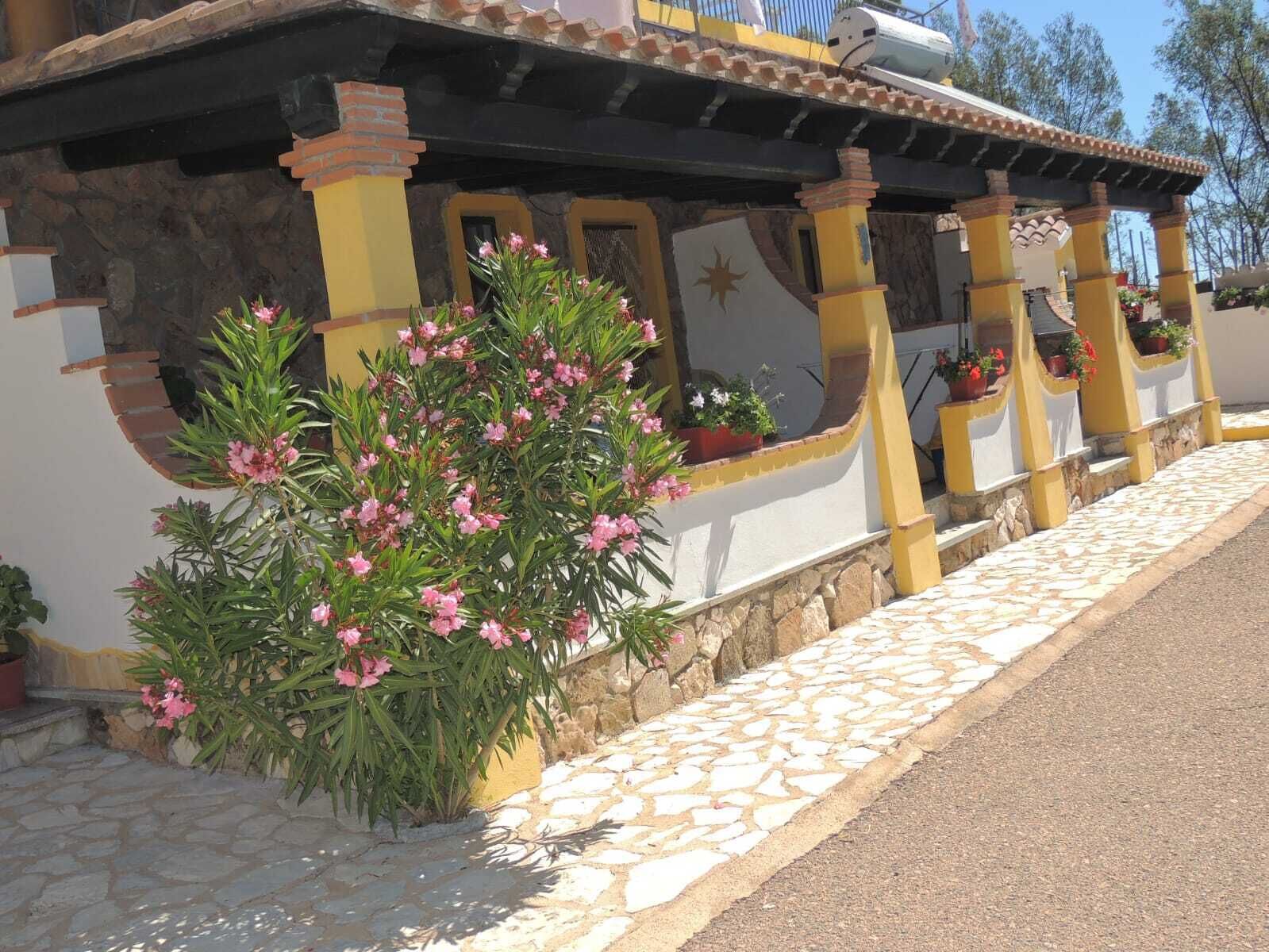 Terrain de l’hébergement 