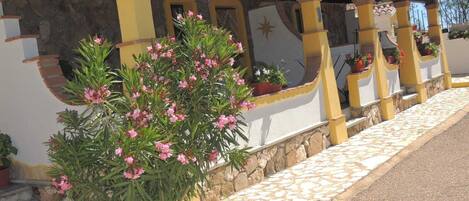 Terrain de lâhĂ©bergement