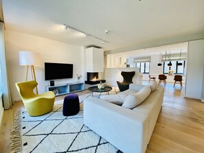 Televisión, chimenea, libros y videoteca 