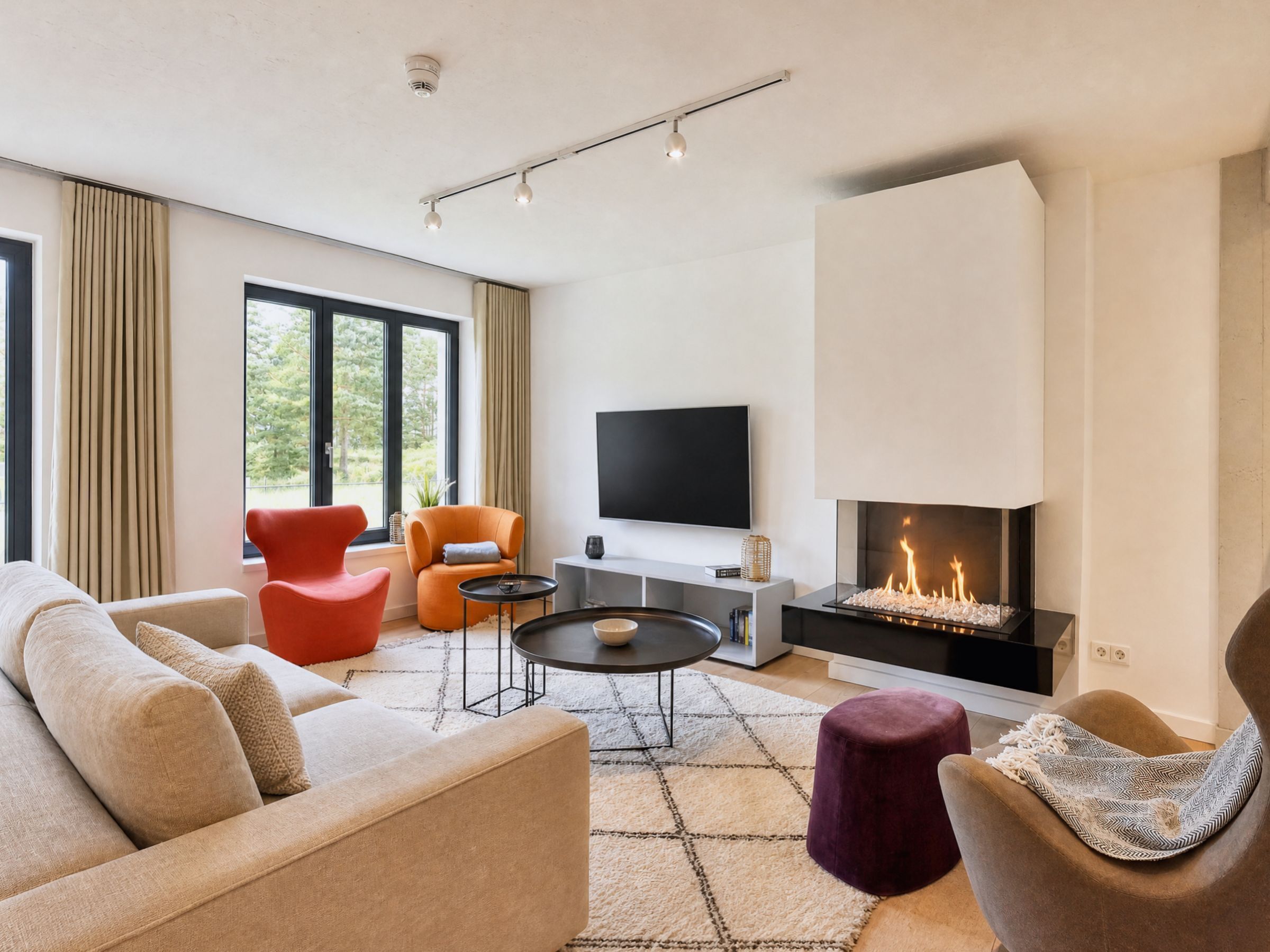 TV, fireplace, books, video library