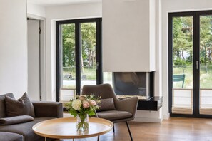 Télévision, cheminée, livres, vidéothèque