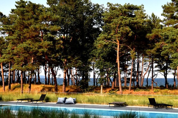 A pool area with lounge chairs and a view of tall trees and the ocean.