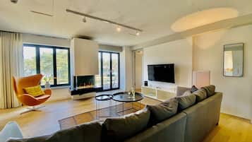 Fernseher, Kamin, Bücher, Videothek