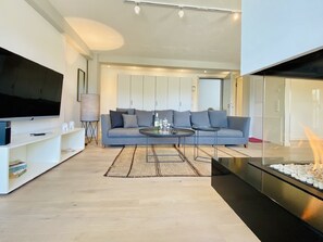 TV, fireplace, books, video library