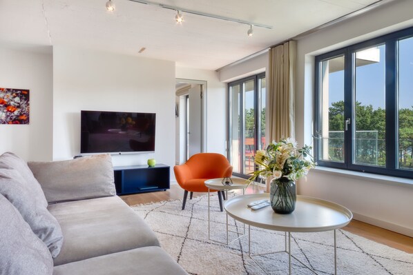 TV, caminetto, libri, videoteca