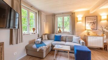 TV, fireplace, table tennis, books