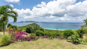 Paesaggio tropicale con spiaggia, cielo sereno e vegetazione rigogliosa.