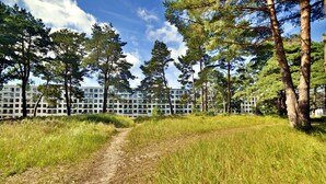 Un sentiero conduce a un edificio circondato da alberi alti.